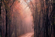 爱游戏官方入口-波兰大胜阿尔巴尼亚，挺进欧锦赛半决赛