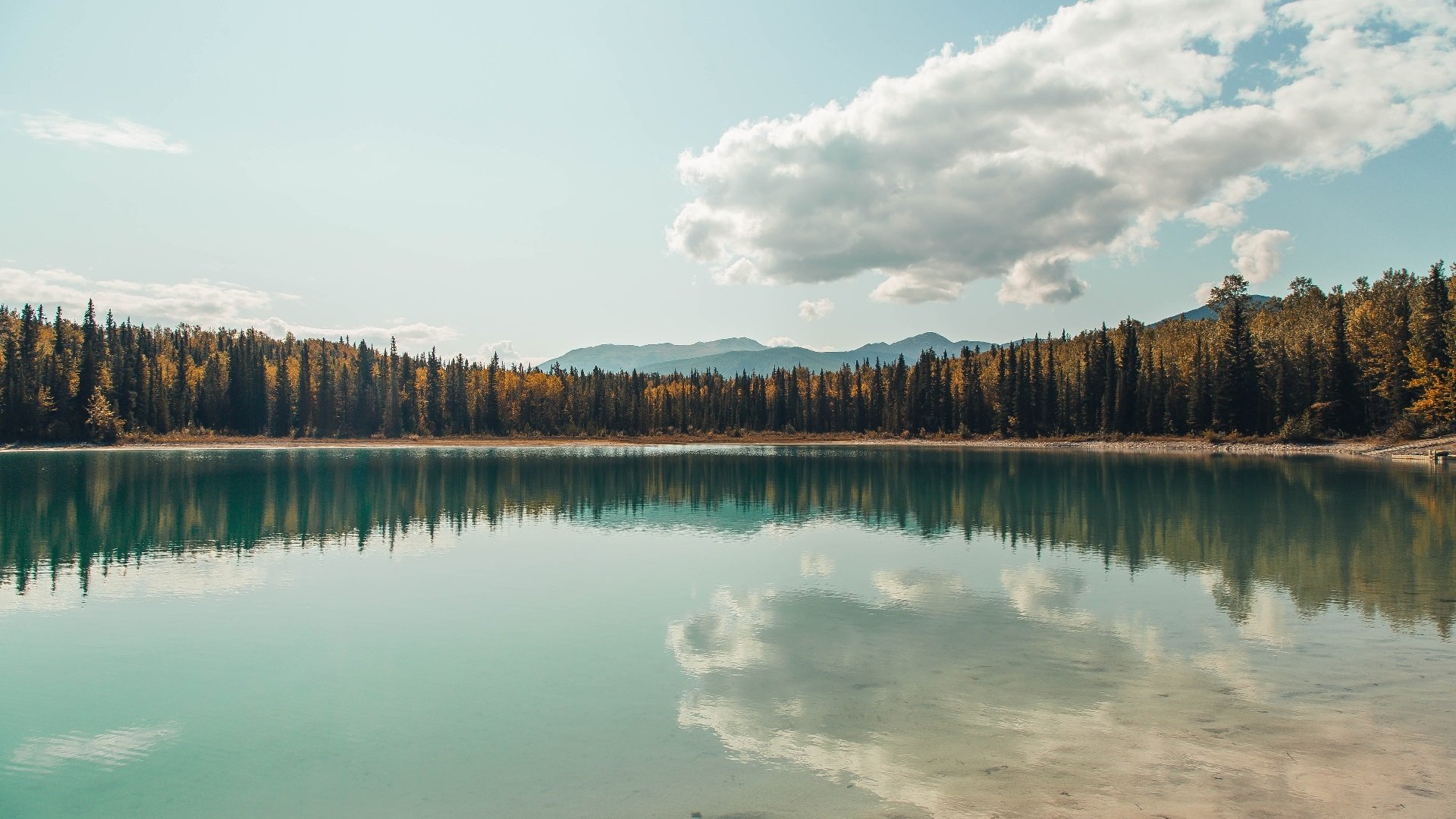 亚洲天王临危救主！曼联友谊赛轻取瑞典，孙兴慜关键制胜闪耀全场