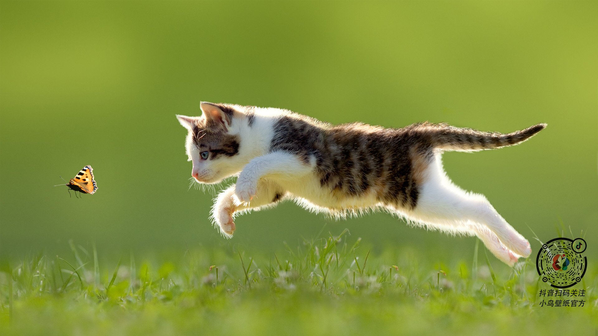 完全无解！锡安暴砍30+率国王制霸火箭