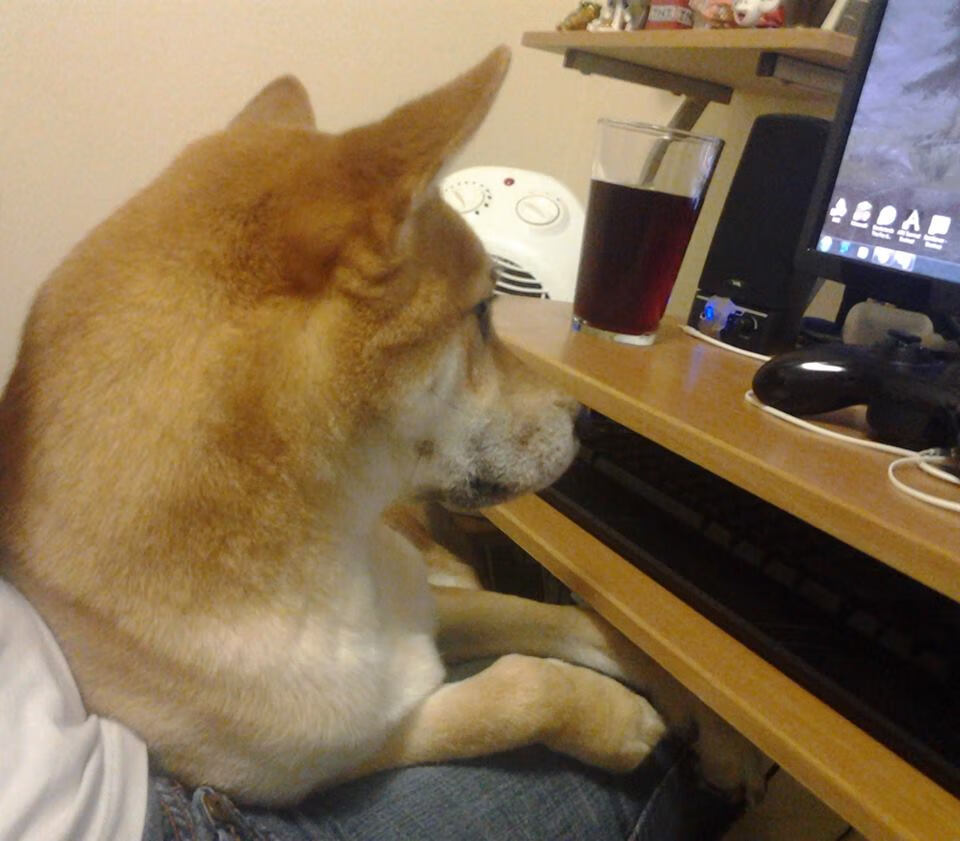 爱游戏在线-指挥家霍勒迪，以里程碑为符，奏响尼克斯狂胜交响曲