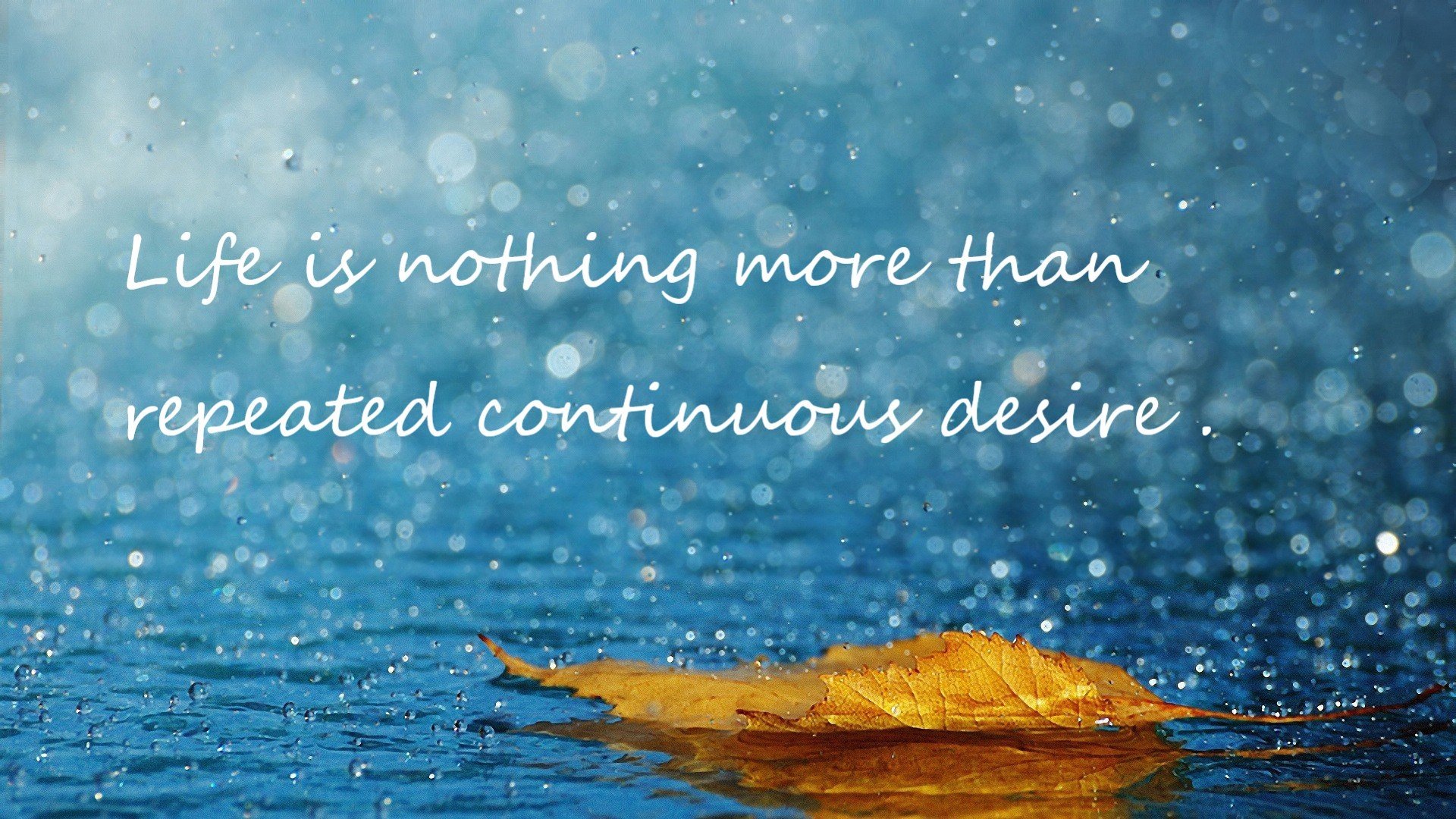 生死时速！欧文末节魔法撕裂黄蜂，快船悬崖边夺回呼吸权