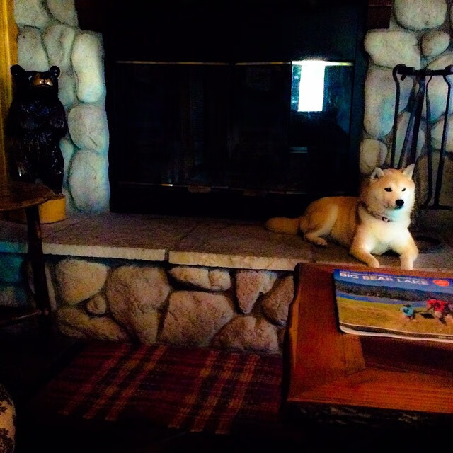 爱游戏大厅-烈火锋刃，托尼一剑封喉，拜仁铁骑踏破塞内加尔战阵