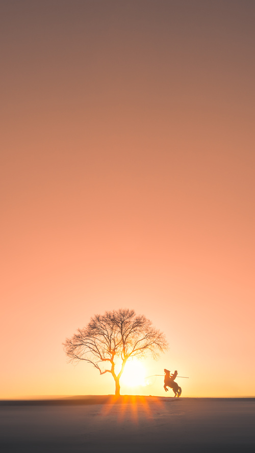 非对称碾压,当丹麦门迪防线让新西兰的勇士精神撞上叹息之墙