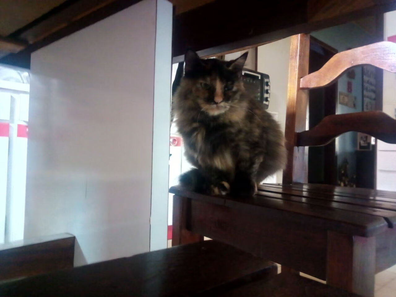 字母哥空降CBA?山西队梦幻联动制霸开拓者,存在感拉满的跨界传奇