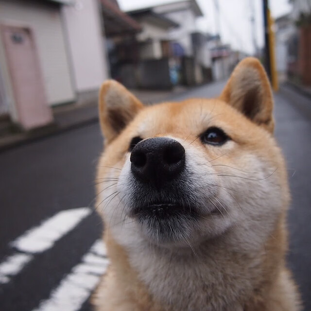 13年时光隔开的镜面,内马尔如何用进球完成一场文化正名