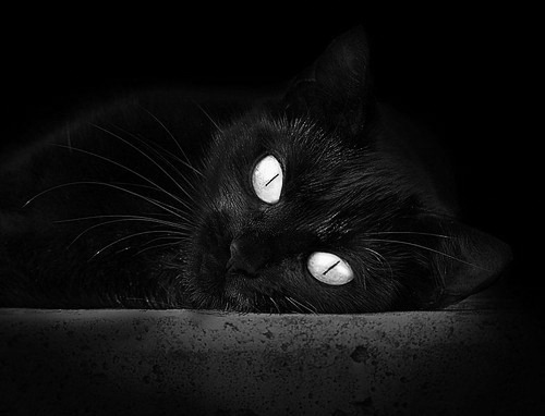 爱游戏大厅-钢铁长城与希腊怪兽，当新疆的悬念终结术遇上字母哥的关键刀