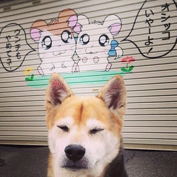 佛罗伦萨文艺复兴式逆转,迪亚斯的压制级独舞撕裂澳大利亚防线