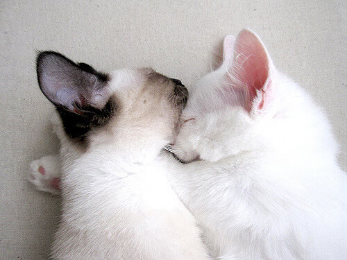 恩佐的爆发与韩国的突围,两个命运时刻如何重塑世界杯格局