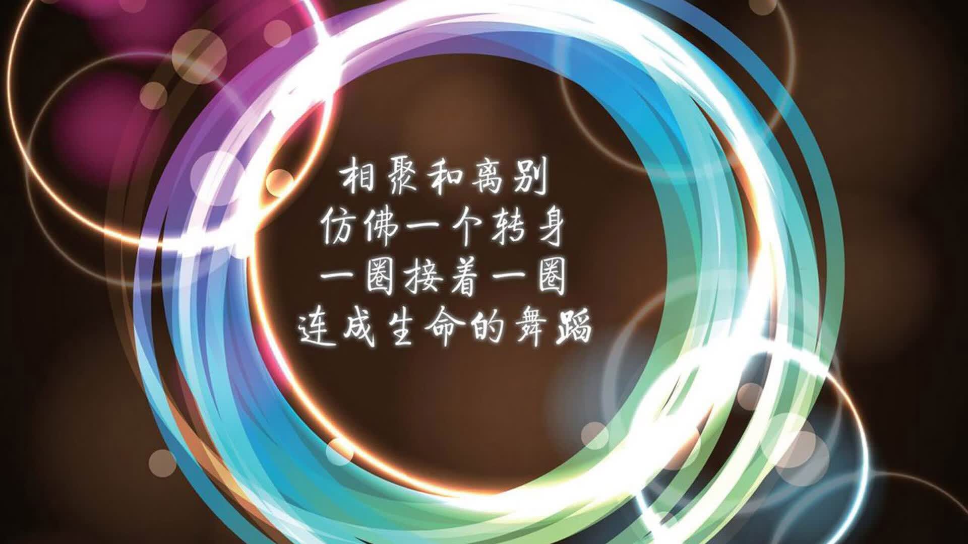 高卢雄鸡的复仇狂潮，2026世界杯焦点战，法国四球横扫喀麦隆，孙兴慜导演防守反击经典