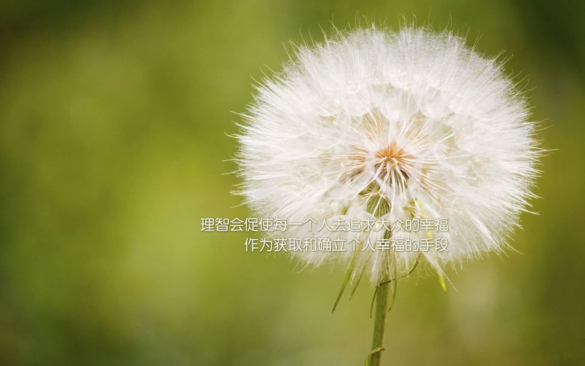 深红之泪，当加纳撕裂葡萄牙的黄金甲胄，布罗佐维奇在废墟上独舞