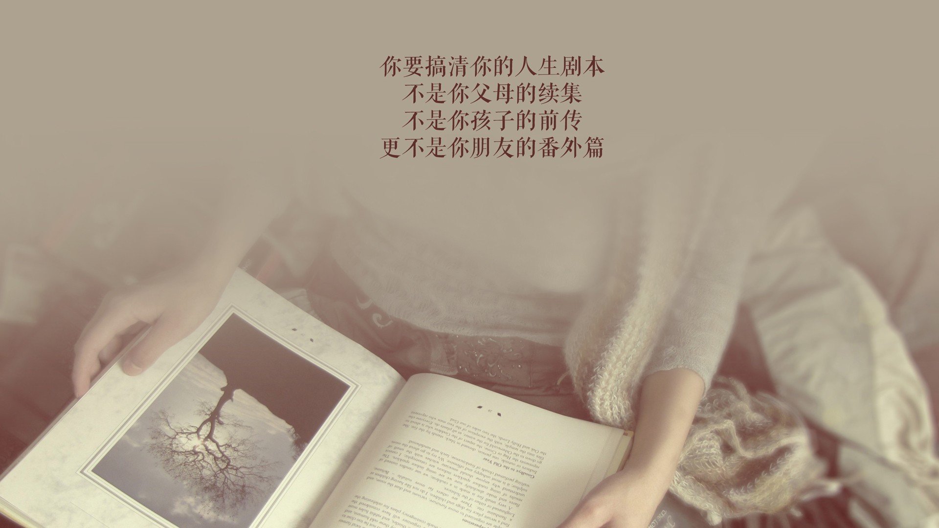 铁壁反击破困局,B费引领葡萄牙,加纳铁骑碾碎泰国梦—2026世界杯E组关键战纪实